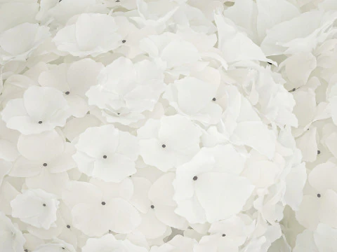 Buqu&ecirc; Festivo Em Vaso De Vidro Hort&ecirc;nsia Branca 591 Modelo 3D