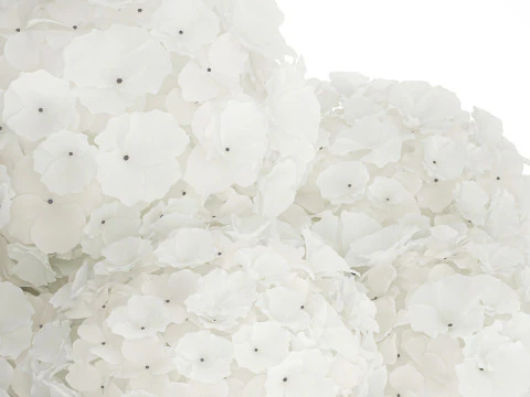 Buqu&ecirc; Festivo Em Vaso De Vidro Hort&ecirc;nsia Branca 591 Modelo 3D