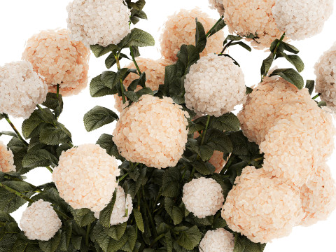 Beautiful large festive bouquet in a glass vase hydrangea 592 3D Model