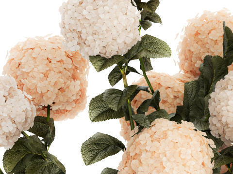 Beautiful large festive bouquet in a glass vase hydrangea 592 3D Model