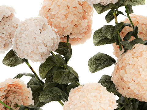 Beautiful large festive bouquet in a glass vase hydrangea 592 3D Model