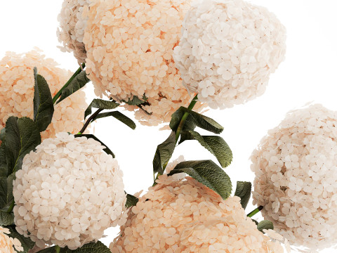 Beautiful large festive bouquet in a glass vase hydrangea 592 3D Model
