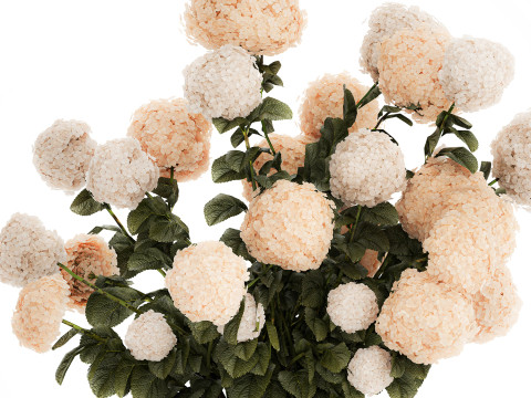 Beautiful large festive bouquet in a glass vase hydrangea 592 3D Model