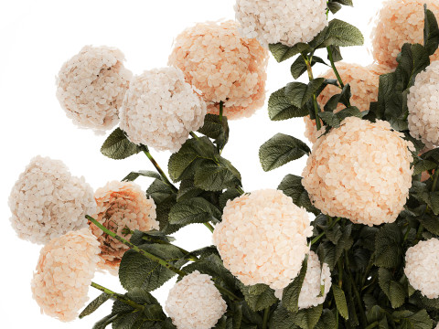 Beautiful large festive bouquet in a glass vase hydrangea 592 3D Model