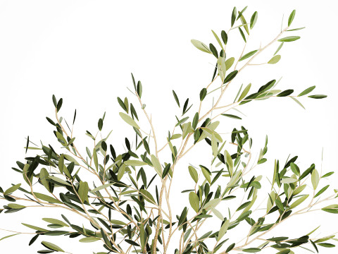 Realistic flower bouquet decoration of olive branches 592 Modelo 3D