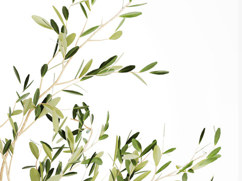 Realistic flower bouquet decoration of olive branches 592 Modelo 3D