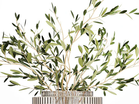 Realistic flower bouquet decoration of olive branches 592 3D Model