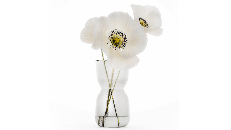 Beautiful Minimalist Bouquet Vase Icelandic Poppy 594 Model 3D .c4d .max .obj .3ds .fbx .stl .blend