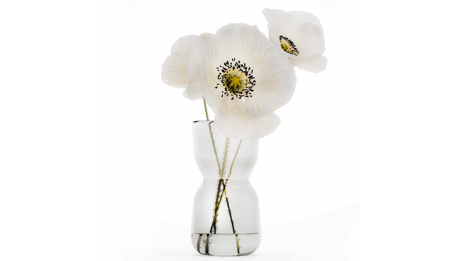Beautiful Minimalist Bouquet Vase Icelandic Poppy 594 3D Model .c4d .max .obj .3ds .fbx .stl .blend 