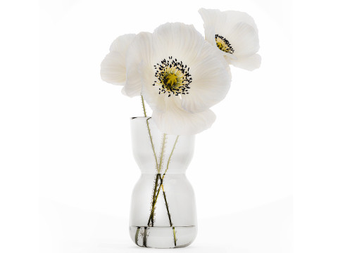 Beautiful Minimalist Bouquet Vase Icelandic Poppy 594 Modèle 3D