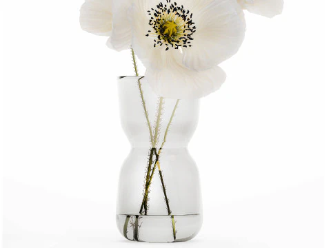 Beautiful Minimalist Bouquet Vase Icelandic Poppy 594 3D Model