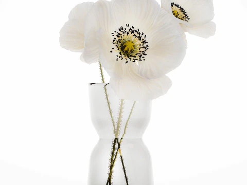 Beautiful Minimalist Bouquet Vase Icelandic Poppy 594 3D Model