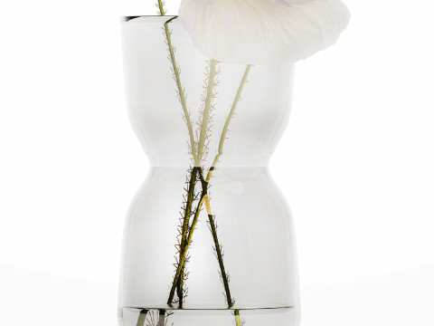 Beautiful Minimalist Bouquet Vase Icelandic Poppy 594 Model 3D