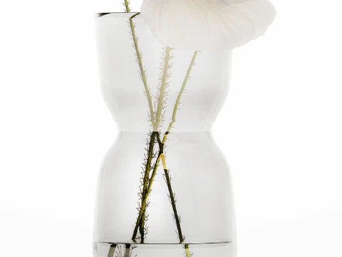 Beautiful Minimalist Bouquet Vase Icelandic Poppy 594 3D Model