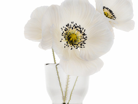 Beautiful Minimalist Bouquet Vase Icelandic Poppy 594 Model 3D