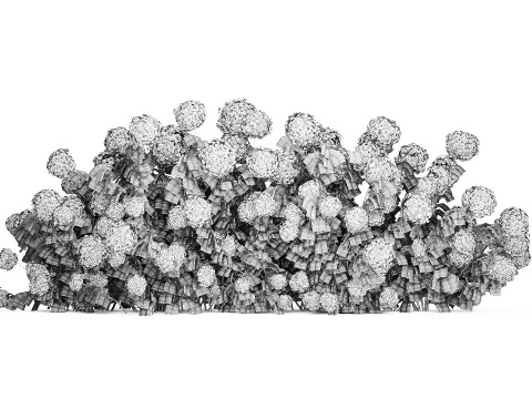 Bushes white hydrangea with flowers for the garden 1475 3D Model