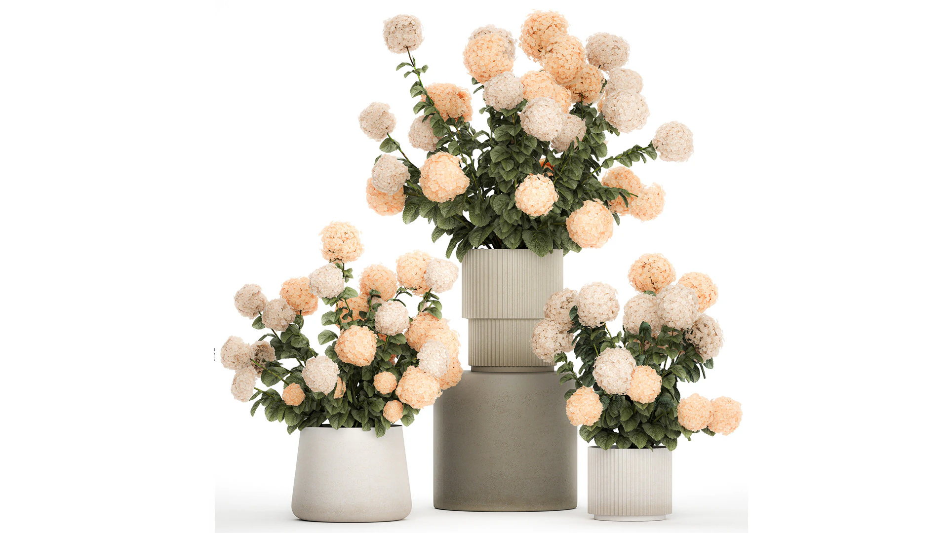 Beautiful Potted Plants Hydrangea Blooming Set 1476 3D Model .c4d .max .obj .3ds .fbx .stl .blend 