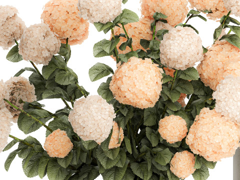 Beautiful Potted Plants Hydrangea Blooming Set 1476 3D 모델