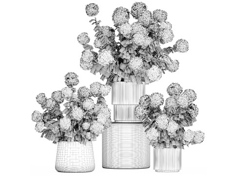 Beautiful Potted Plants Hydrangea Blooming Set 1476 3D 모델