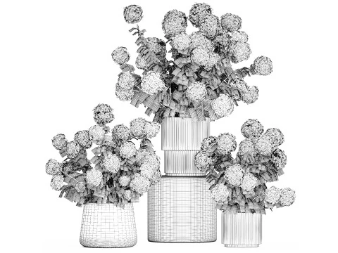 Beautiful Potted Plants Hydrangea Blooming Set 1476 3D Model
