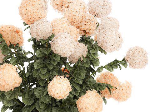 Beautiful Potted Plants Hydrangea Blooming Set 1476 3D 모델