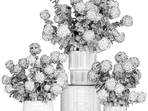 Beautiful Potted Plants Hydrangea Blooming Set 1476 3D Model