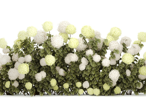 Bushes white green flowering hydrangea garden 1477 3D Model