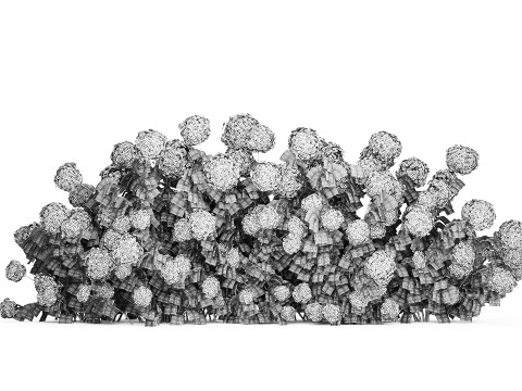 Bushes white green flowering hydrangea garden 1477 3D 모델