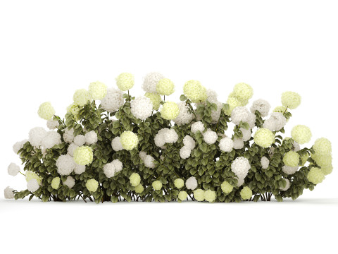 Bushes white green flowering hydrangea garden 1477 3D 모델