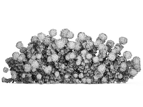 Bushes white green flowering hydrangea garden 1477 3D 모델