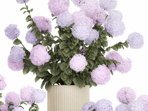Vasos de plantas hort&ecirc;nsias ao ar livre flores rosa rosa roxo lil&aacute;s 1478 Modelo 3D