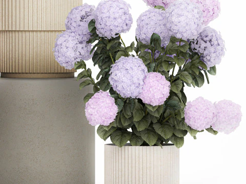 Vasos de plantas hort&ecirc;nsias ao ar livre flores rosa rosa roxo lil&aacute;s 1478 Modelo 3D