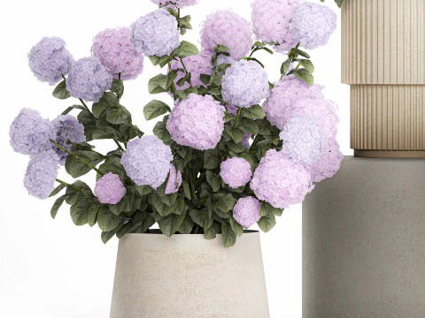 Vasos de plantas hort&ecirc;nsias ao ar livre flores rosa rosa roxo lil&aacute;s 1478 Modelo 3D