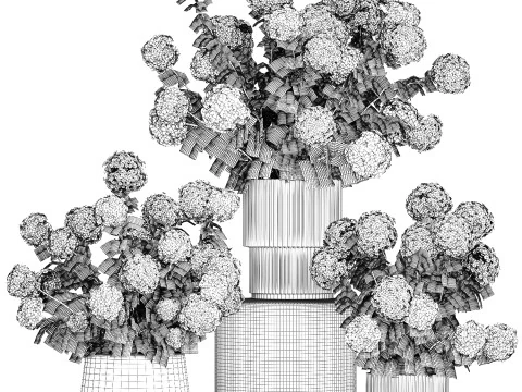 Vasos de plantas hort&ecirc;nsias ao ar livre flores rosa rosa roxo lil&aacute;s 1478 Modelo 3D