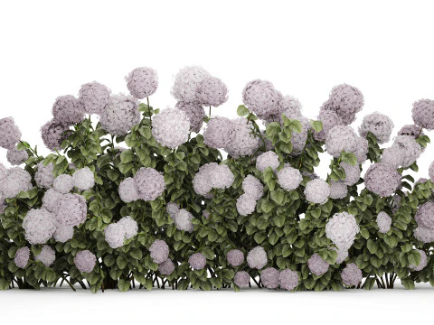 Buissons Hortensia &agrave; fleurs violettes pour le jardin 1479 Modèle 3D