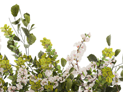Bouquet Of Green Sakura Cherry Branches And Green 595 3D Model