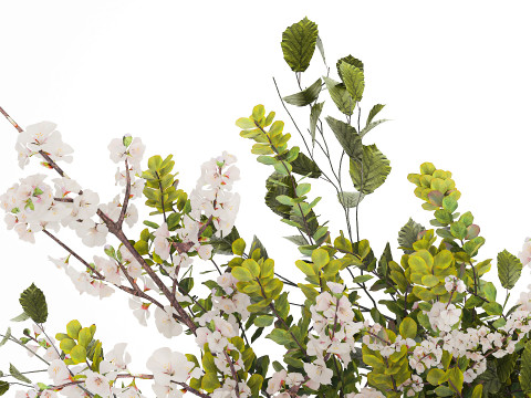 Bouquet Of Green Sakura Cherry Branches And Green 595 3D Model