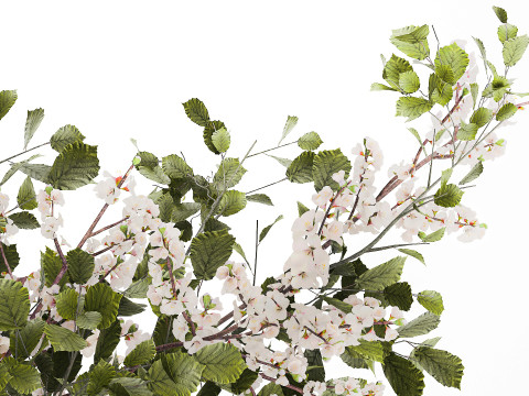 Bouquet Of Green Sakura Cherry Branches And Green 595 3D Model