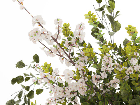 Bouquet Of Green Sakura Cherry Branches And Green 595 3D Model