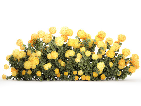 Bushes Yellow Hydrangea With Flowers For Garden 1480 3D 모델