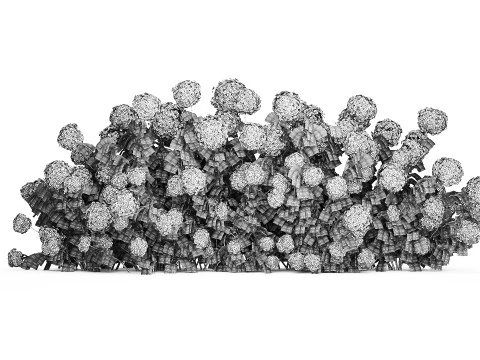 Cespugli Di Ortensie Gialle Con Fiori Per Giardino 1480 Modello 3D