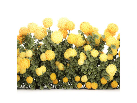 Cespugli Di Ortensie Gialle Con Fiori Per Giardino 1480 Modello 3D