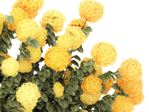 Cespugli Di Ortensie Gialle Con Fiori Per Giardino 1480 Modello 3D