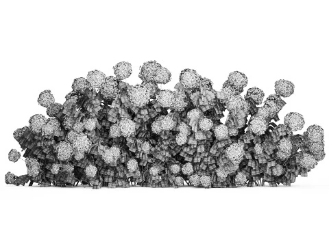 Cespugli Di Ortensie Gialle Con Fiori Per Giardino 1480 Modello 3D