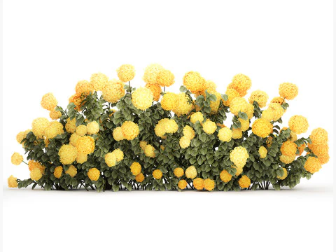 Cespugli Di Ortensie Gialle Con Fiori Per Giardino 1480 Modello 3D