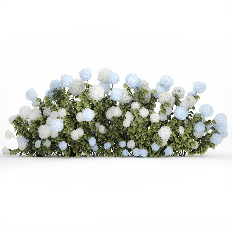 Bushes white blue hydrangea with flowers garden 1481 3D Model .c4d .max .obj .3ds .fbx .stl .blend