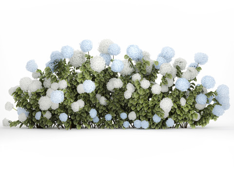 Bushes white blue hydrangea with flowers garden 1481 3D 모델