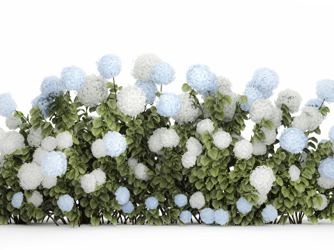 Bushes white blue hydrangea with flowers garden 1481 3D 모델