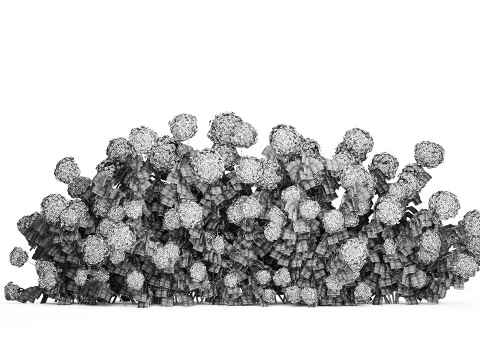 Bushes white blue hydrangea with flowers garden 1481 3D Model
