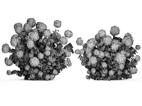 Beautiful Bushes White Hydrangea Flowers Garden 1482 3D Model